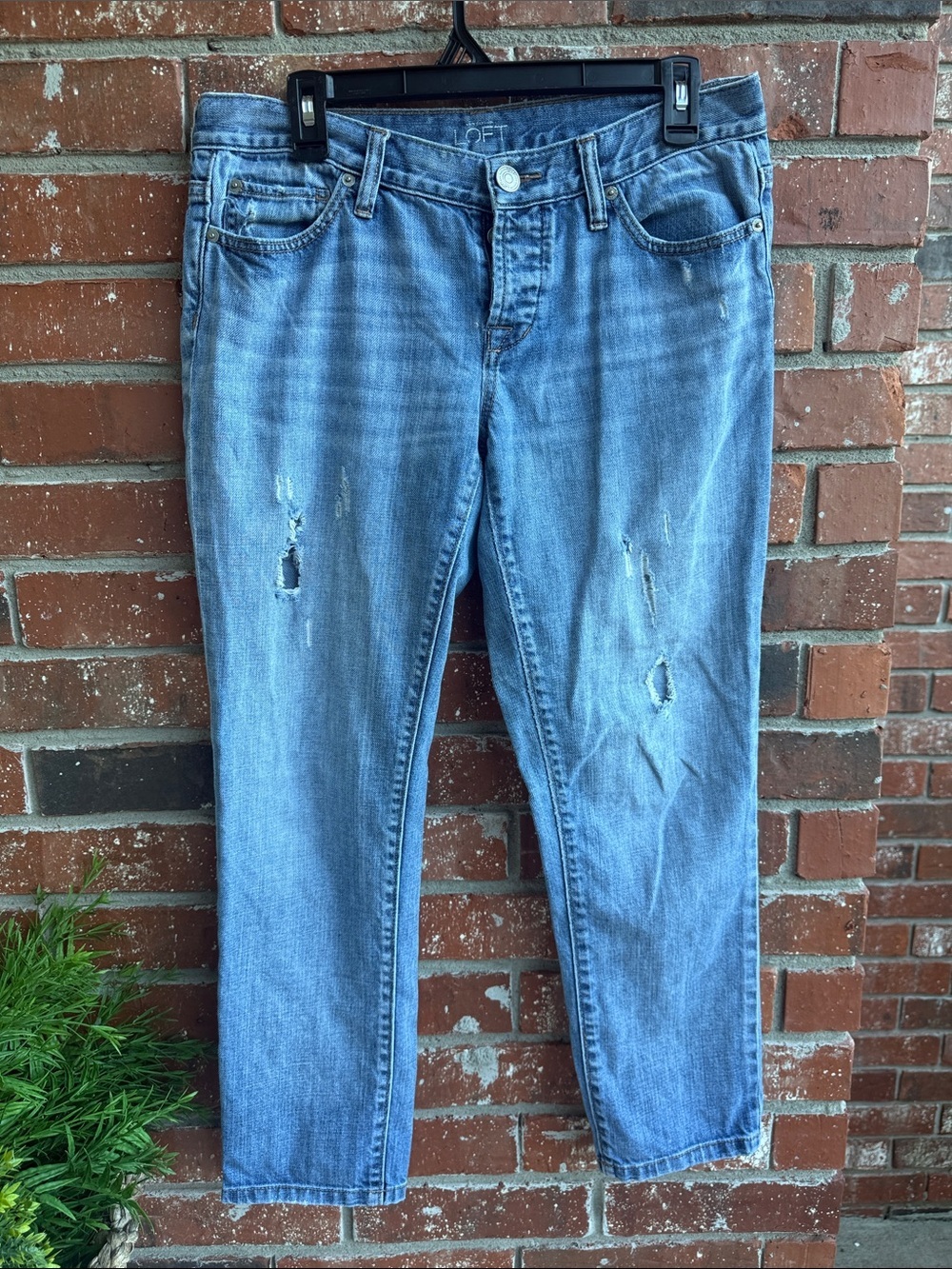 LOFT Light Blue Distressed Button Fly Boyfriend Jeans